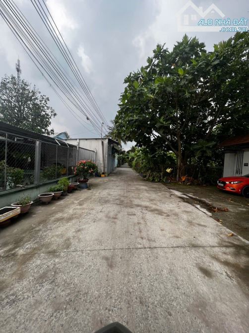 Bán 4 Lô Đất F0 Liền Kề Đường An Sơn 19, Thuận An, Cách Sông SG chỉ 300m - 4