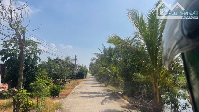 B.á.n 2,6 công đất vườn cây ăn trái sẵn, Ôtô tại Tân Thành, Gò Công, Tiền Giang giá 1,5 tỷ - 4