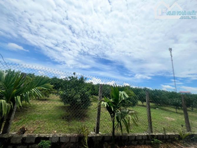 Cần bán lô đất 2633m - có 2480m đất ở - giá 4,x tỷ - sẵn vườn trồng cây ăn quả - 4