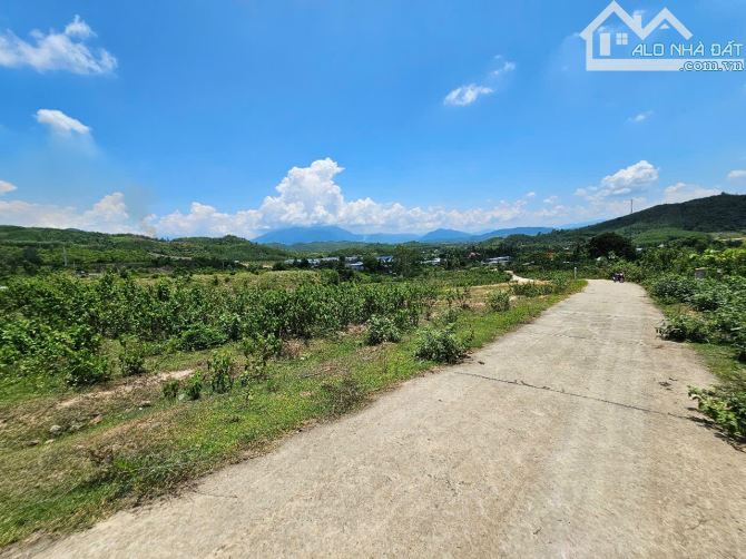 Bán đất vườn Khánh Phú giá rẻ sát bên khu dân cư thôn Nước Nhĩ - 4