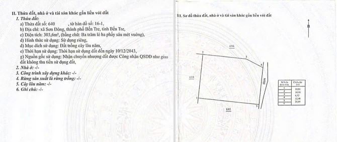Bán đất vòng xoay Tân Thành 450m, Sơn Đông, Phường Bến Tre - 4