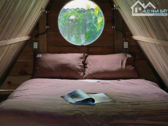 Bán Homestay Nguyễn Đình Chiểu, Phường 9, Đà Lạt – Cực xinh, gần Hồ Xuân Hương - 5