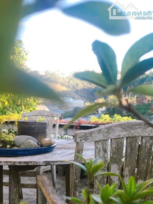 Bán nhà Trần Thái Tông, Phường 9, Đà Lạt – 1 trệt 1 lầu, sân đậu 3 ô tô, view đồi thông - 5