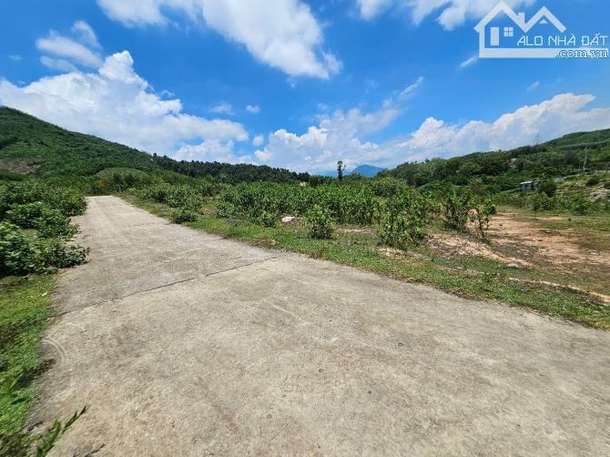 Bán đất vườn Khánh Phú giá rẻ sát bên khu dân cư thôn Nước Nhĩ - 5