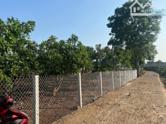 380M2 ĐẤT Ở, PHÙ HỢP AN CƯ NGHĨ DƯỠNG, TẠI ĐỨC TRỌNG, GIÁ CHỈ 1 TỶ 350 TRIỆU - 5