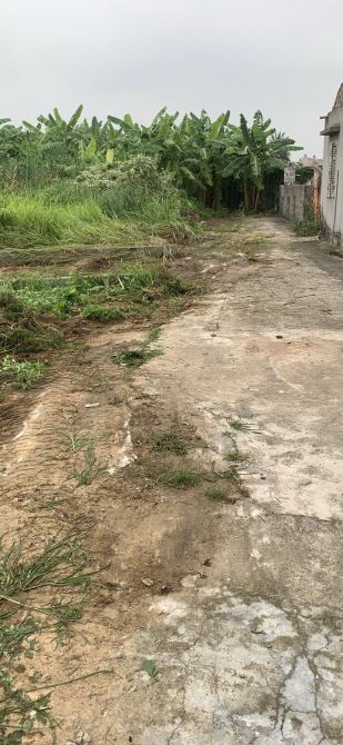 Hơn 9 triệu/m2 có ngay 71,2m2 tại Kim Đới 1 - Hữu Bằng cách TL363 100m Bao trải nhựa - 5