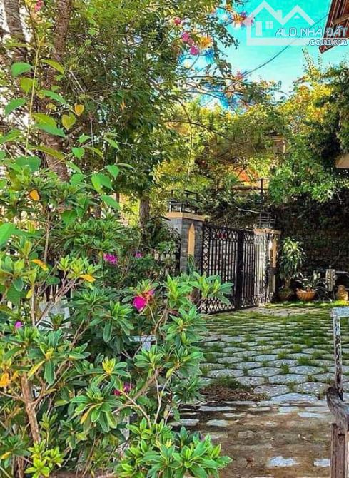 Bán nhà Trần Thái Tông, Phường 9, Đà Lạt – 1 trệt 1 lầu, sân đậu 3 ô tô, view đồi thông - 6