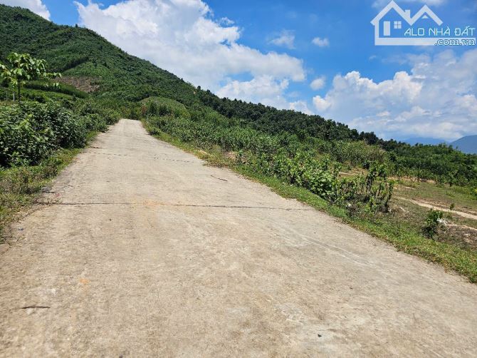 Bán đất vườn Khánh Phú giá rẻ sát bên khu dân cư thôn Nước Nhĩ - 6