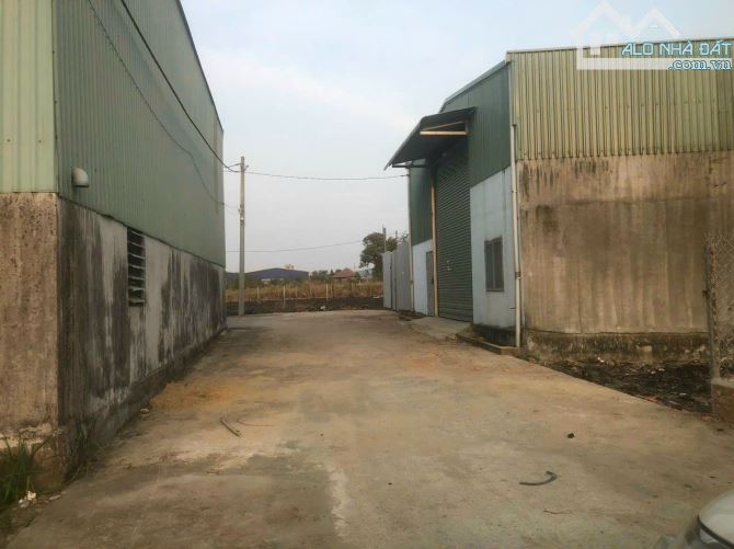 GIA ĐÌNH BÁN LÔ ĐẤT RỘNG 228m² SỔ RIÊNG FULL THỔ CƯ Gần Chợ Thiện Tân - Vĩnh Cửu, Đồng Nai - 6