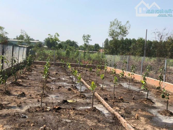 BÁN LÔ ĐẤT RỘNG 228m² SỔ RIÊNG FULL THỔ CƯ Gần Chợ Thiện Tân - Vĩnh Cửu, Đồng Nai - 7
