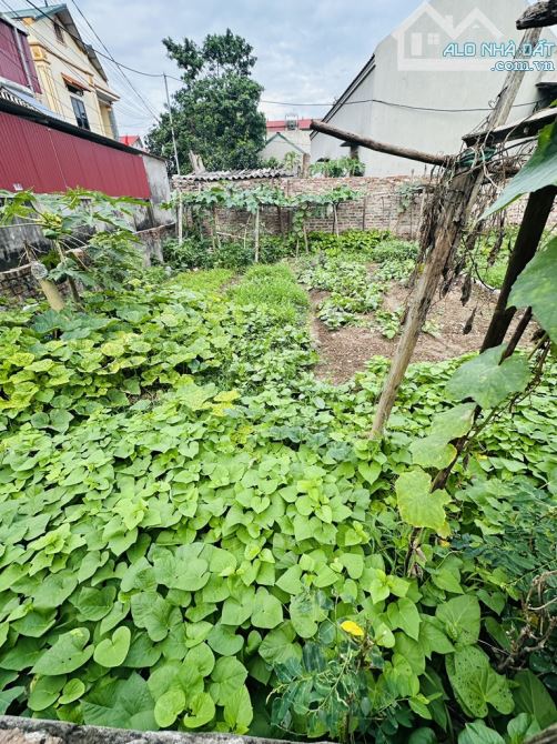 LÔ GÓC ĐẸP -BÁN ĐẤT THANH KHƯƠNG -THUẬN THÀNH -63M - NHỈNH 2 TỶ