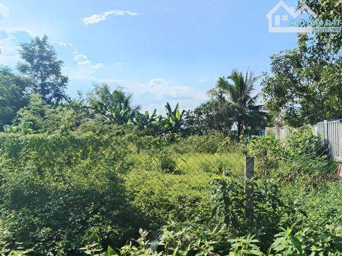 Ra nhanh lô đất đẹp Điện Bàn Này Thuộc Đà Nẵng 200m chỉ có 1.45 tỷ.
