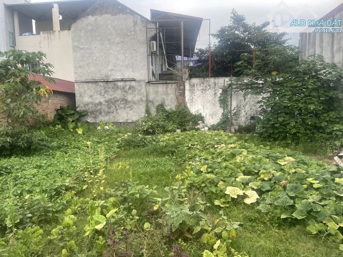 🌿 LÔ GÓC 2 MẶT THOÁNG – HẢI BỐI, ĐÔNG ANH – 85M² – CHỈ 5.X TỶ!