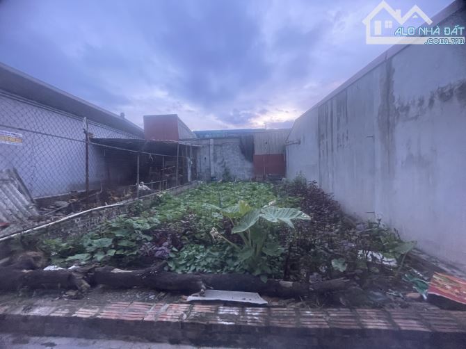 🌿 LÔ ĐẤT NHỎ XINH – NỞ HẬU – GIÁ MỀM HIẾM CÓ CHỈ 3.X TỶ - 45M2. - 1
