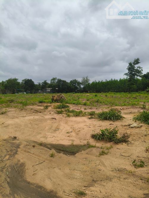 Bán 6736m đất Cách Võ Nguyên Giáp, Biên Hòa 50m, 29 tỷ