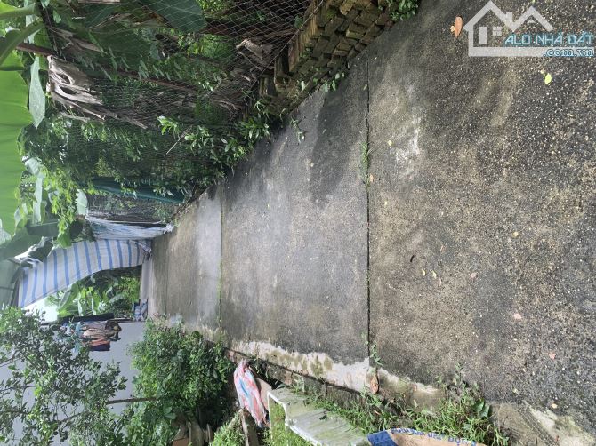 hơn 3 tỷ , mảnh góc cổ loa, nở hậu, view hồ thoáng mát quanh  năm - 1