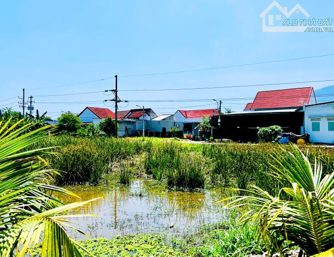 CẦN BÁN LÔ GÓC ĐẸP 8m TẠI DIÊN KHÁNH - KHÁNH HÒA - 1