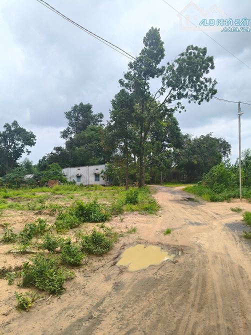 Bán 6736m đất Cách Võ Nguyên Giáp, Biên Hòa 50m, 29 tỷ - 1