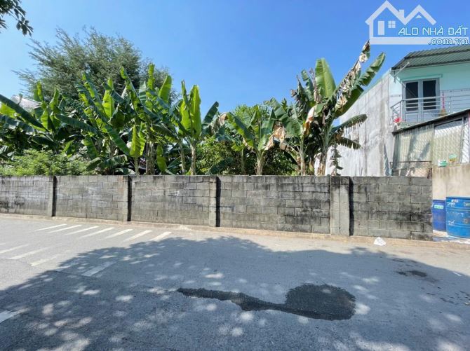 Đất mặt Tiền kinh doanh tốt phường Tân Đông Hiệp, Tp Dĩ An - 2