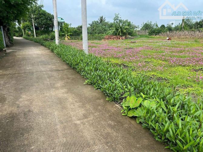300m đất thổ 12.6*24 mặt tiền đường GTNT Cần Giuộc chỉ 5tr3/m - 2