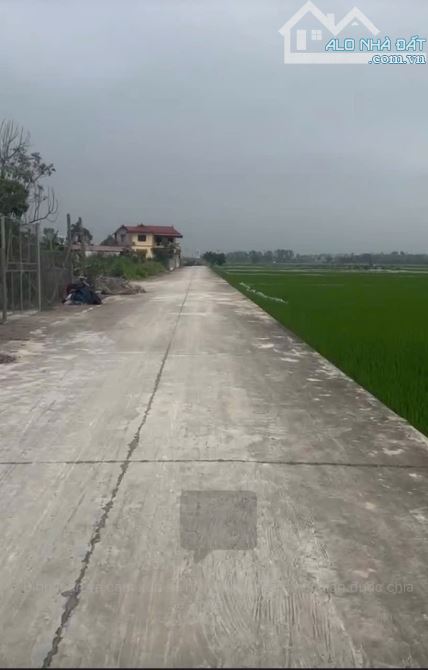 Em gái nhờ nhượng nhanh lô đất Ninh Xá-2 mặt tiền siêu hiếm-chia 2 đẹp mê 135m2 3,8 tỷ. - 2