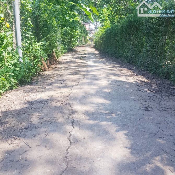 Sông xoài cách trục chính Bình Giã chỉ 100m giá 8Xxtr - 3