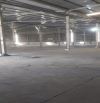 Cho thuê kho xưởng 5000m2 Pháp Lý Đầy Đủ ở TP Tân Uyên Bình Dương