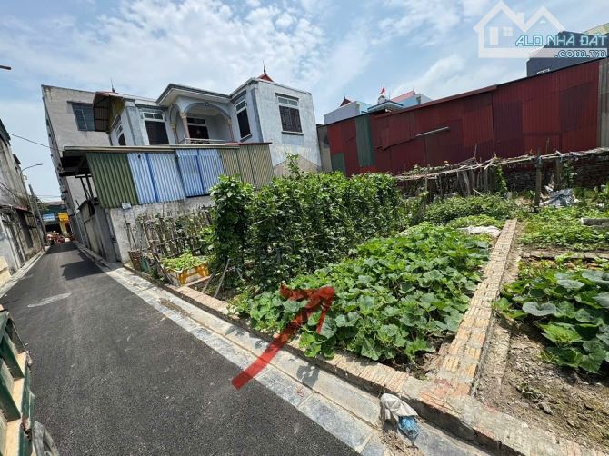 🏡 BÁN ĐẤT  HÀ LÂM 2 – THỤY LÂM – ĐÔNG ANH  53M - 1