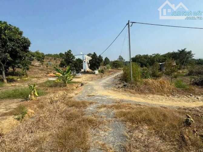 Bán 1 ha đất vườn siêu đẹp tại Xuân Lộc, Đồng Nai, phù hợp làm farmstay nghỉ dưỡng