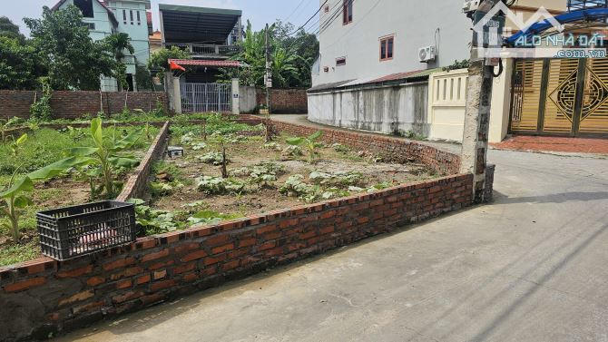89M2 LÔ GÓC TRỤC CHÍNH THÔN ĐÔNG PHÙ LỖ SÓC SƠN,CÁCH QL3 100M2 - 1