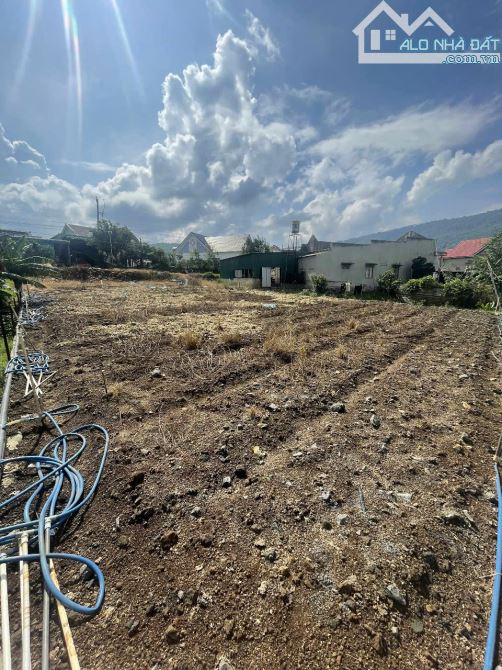 Bán gấp lô đất vị trí siêu đẹp cách QL20 chỉ 500m - Thích hợp nghỉ dưỡng và đầu tư dài lâu