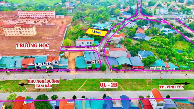 🔥Bán gấp lô đất đẹp Hợp Châu, Tam Đảo cách đường QL2B chỉ vài bước chân 124m mt5m 1,65 tỷ
