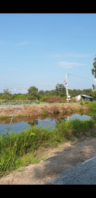 Bán lô đất mặt tiền 586m  Thổ cư Xã Tân Lập 1 Tân Phước Tiền Giang chỉ  hơn 1tr m
