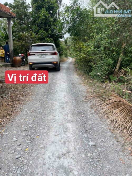 2100m2 có 338m2 thổ đường ôtô vew sông tân đông_ thạnh hoá 990 triệu rẻ
