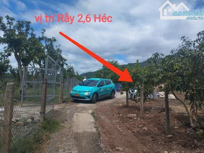 Chủ ko có thời gian chăm sóc và kinh doanh miếng đất rẫy 2,6 Héc nên cần bán cho chủ mới c
