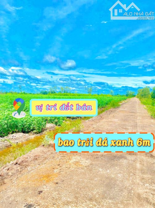 BÁN ĐẤT MẶT TIỀN VIEW SÔNG GIÁ RẺ TẠI BẾN LỨC