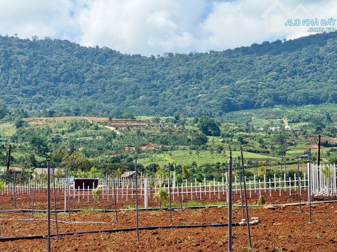 Đất nghỉ dưỡng ven Đà Lạt giáp hồ Tuyền Lâm giá chỉ 540 triệu