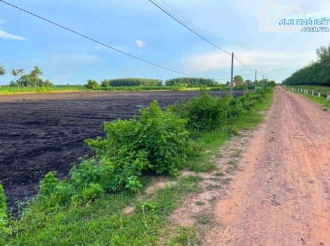 Bán 1 mẫu đất đen chà là chỉ có 6 tỷ - 1
