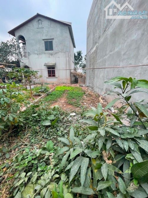 GIÁ ĐẦU TƯ 💥 BÁN ĐẤT KIM SƠN - GIA LÂM - 46M2 – NGÕ THOÁNG – Ô TÔ ĐỖ CỬA 💸 2.6 TỶ 💥 - 1