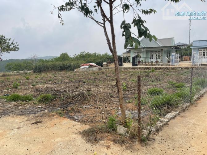 Chủ kẹt tiền cần bán gấp lô đất hiếm full thổ cư Xuân Thọ Đà Lạt - 1