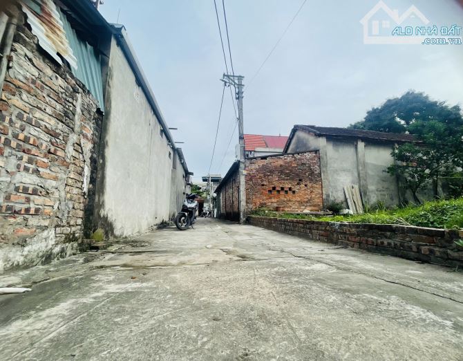 🎯 CHÍNH CHỦ CẦN BÁN GẤP – LÔ ĐẤT SIÊU ĐẸP TẠI NAM HỒNG – ĐÔNG ANH 🎯 - 1