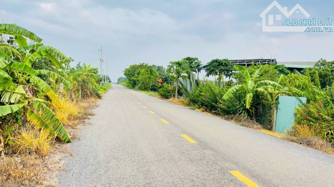 Bán 3.000m2 qh Đất Ở tại xã Láng Dài . ĐẤT ĐỎ. giá chỉ 2 tỷ 650tr tl - 1