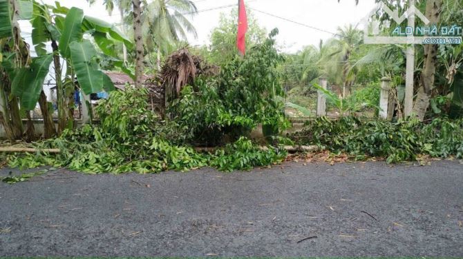 Nền 650 triệu Nền đường Tân Hạnh, gần cầu Kho đường tránh QL1A và chợ Hàn Thẻ, TP Vĩnh Lon - 1