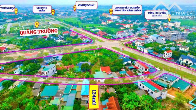 🔥Bán gấp lô đất đẹp Hợp Châu, Tam Đảo cách đường QL2B chỉ vài bước chân 124m mt5m 1,65 tỷ - 1