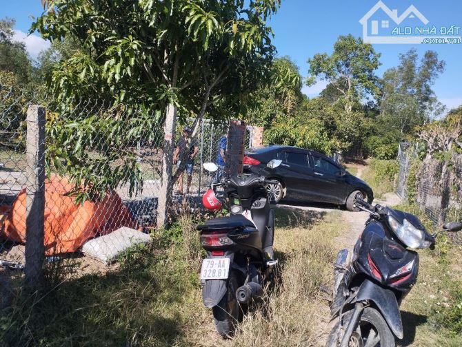 Chủ ko có thời gian chăm sóc và kinh doanh miếng đất rẫy 2,6 Héc nên cần bán cho chủ mới c - 1
