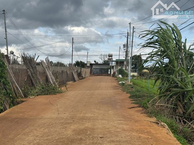 bán đất gần sân bay liên khuong dt 10x48m tc200m2 Giá 2,3ty Xây nghỉ dưỡng - 1