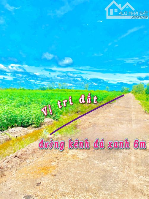 BÁN ĐẤT MẶT TIỀN VIEW SÔNG GIÁ RẺ TẠI BẾN LỨC - 1