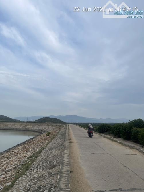 Kẹt tiền bán 6.640m2 giá 2ty9, sổ đỏ gần khu du lịch mũi dinh, ninh phước, ninh thuận - 2