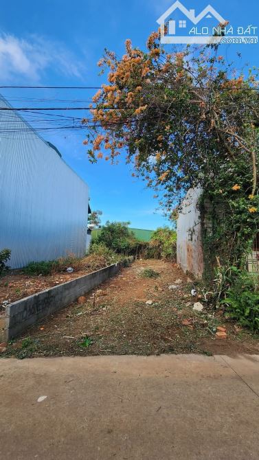 ĐẤT HẺM 41 LƯU QUANG VŨ PHƯỜNG TÂN LỢI: GIÁ 2.85 tỷ - 2