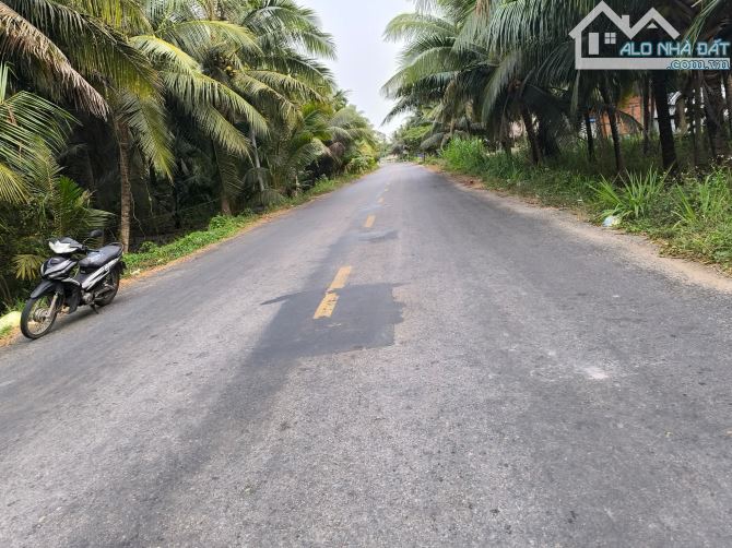 Bán 5500m2 đất vườn dừa mặt tiền 883 mới - 2